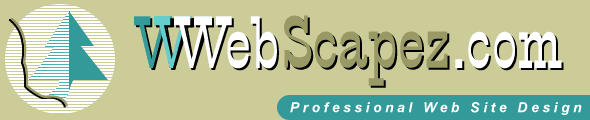 WebScapez.com - Professional Web Site Design